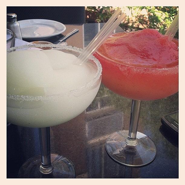 Margaritas Photograph - Afternoon Delight @daniela_rmz #monday by Carolina Paz