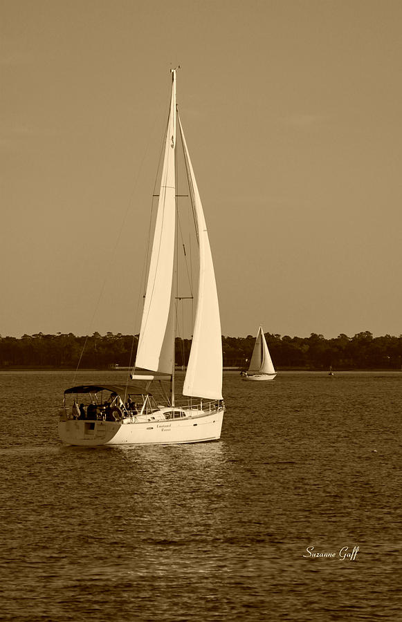 Afternoon for Sailing in sepia Photograph by Suzanne Gaff
