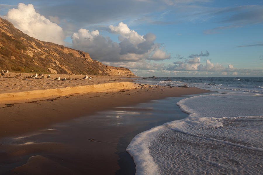 Afternoon Light  Crystal Cove State Beach Photograph by Cliff Wassmann