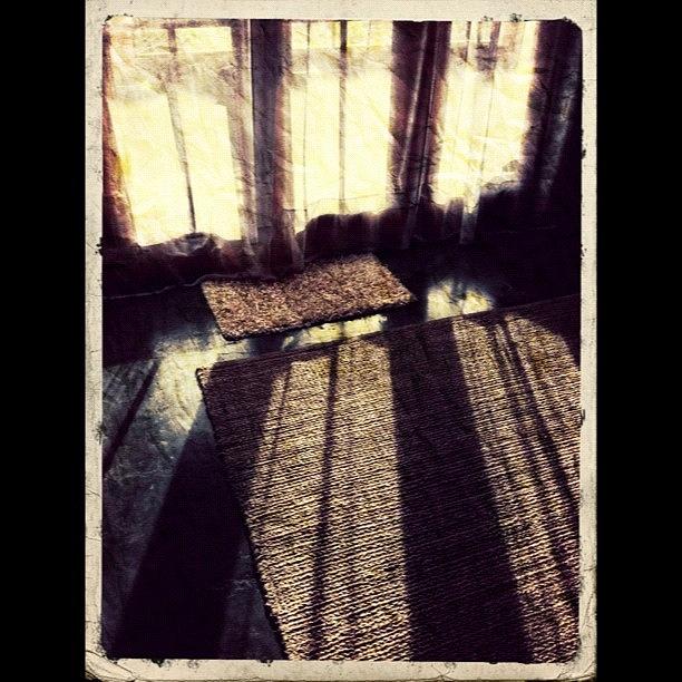 Instagram Photograph - Afternoon by Paul Cutright