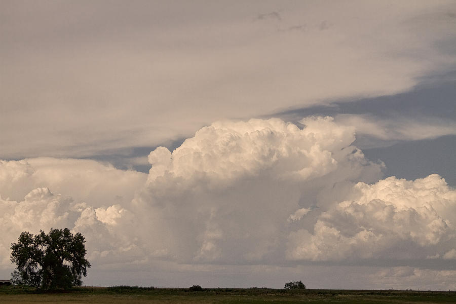 Afternoon Photograph - Afternoon Thunderstorm Building Boulder County CO Plains  by James BO Insogna