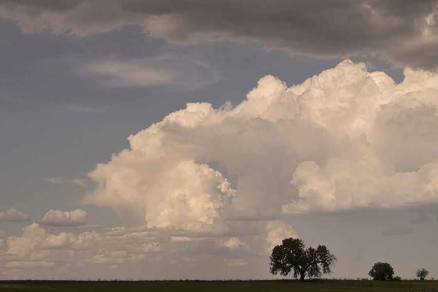 Afternoon Photograph - Afternoon Thunderstorm Building East Boulder County CO Plains by James BO Insogna