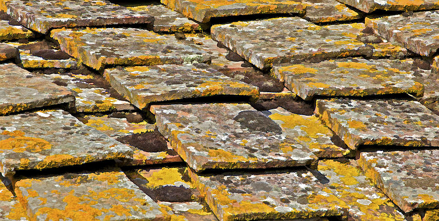 Aged Roof Tiles of Tuscany Photograph by David Letts