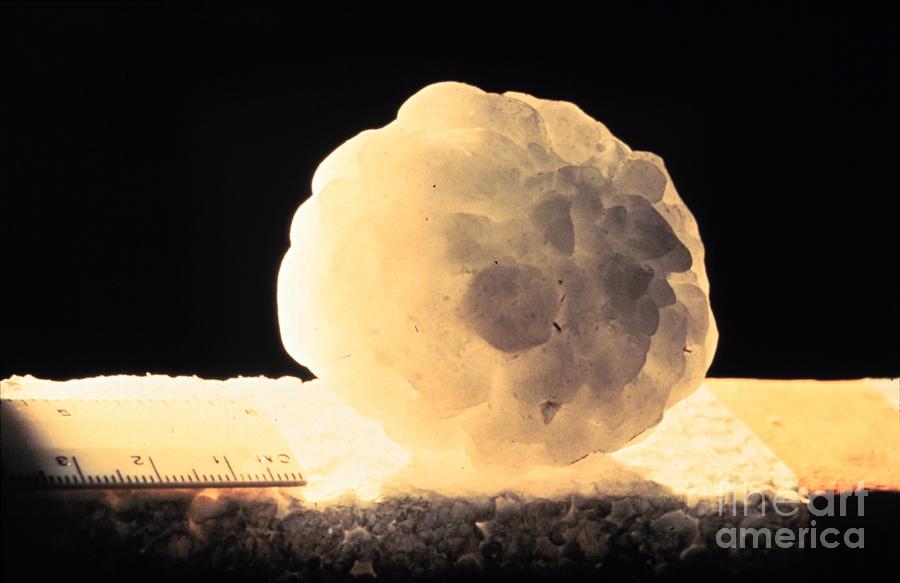 Aggregate Hailstone Photograph by Science Source