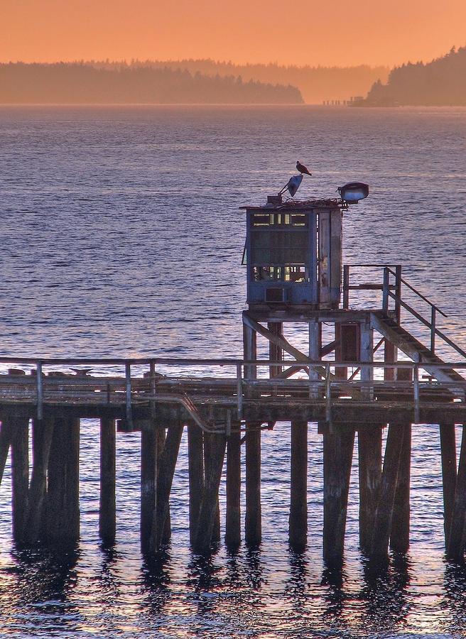 Aging Pier Photograph by Chris Anderson