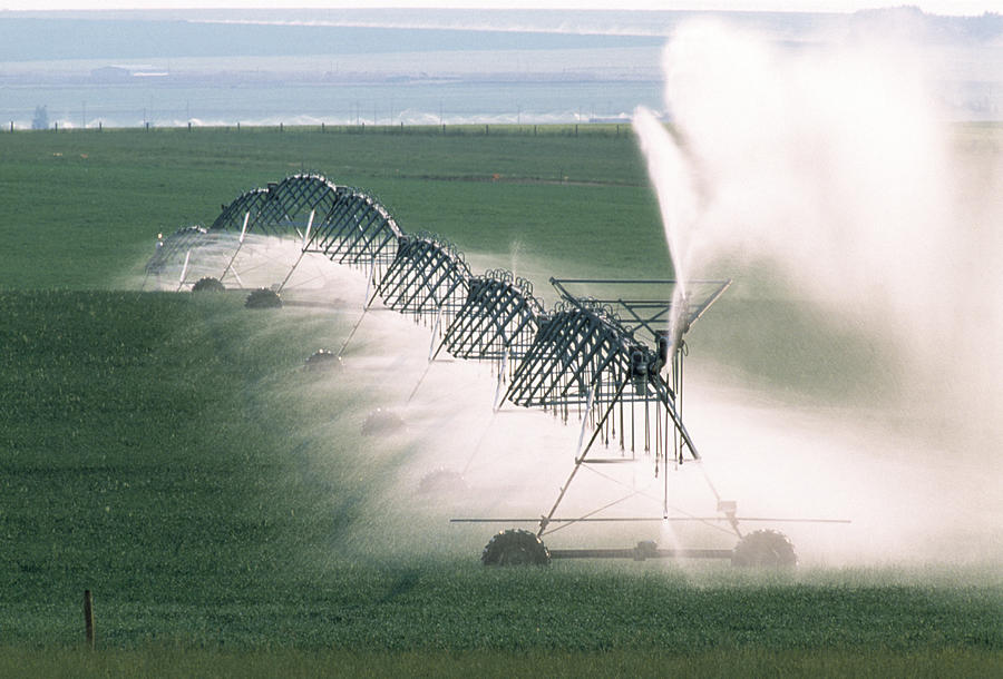 Irrigation Photograph - Agricultural Irrigation by Alan Sirulnikoff Irrigation Photograph - Agricultural Irrigation by Alan Sirulnikoff