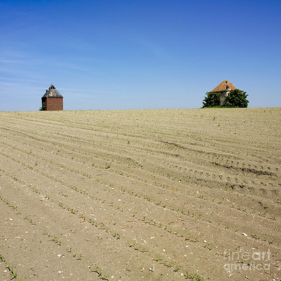 Nature Photograph - Agricultural landscape. Limagne. France by Bernard Jaubert