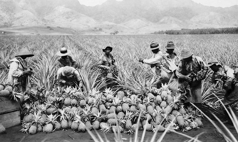 Agricultural Workers, Possibly Photograph by Everett Fine Art America