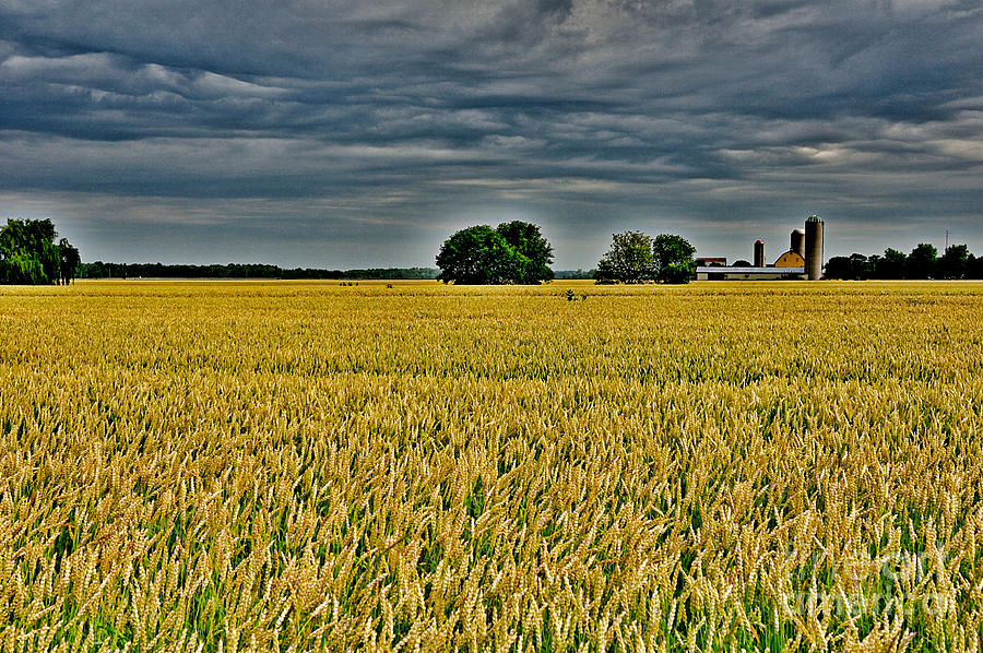 Farm Photograph - Agriculture in Ontario by Joe Ng