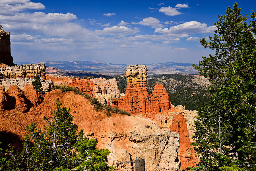 Agua Canyon Bryce Canyon National Park Photograph by Greg Norrell