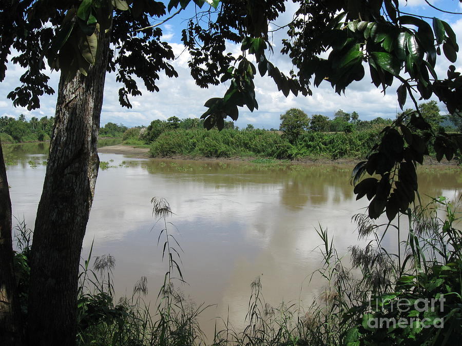 Agusan River near Ja Pao Photograph by Thea Recuerdo