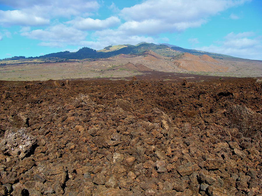 Ahihi-Kinau Natural Area Reserve - Lava Flow - Maui Photograph by Karon Melillo DeVega