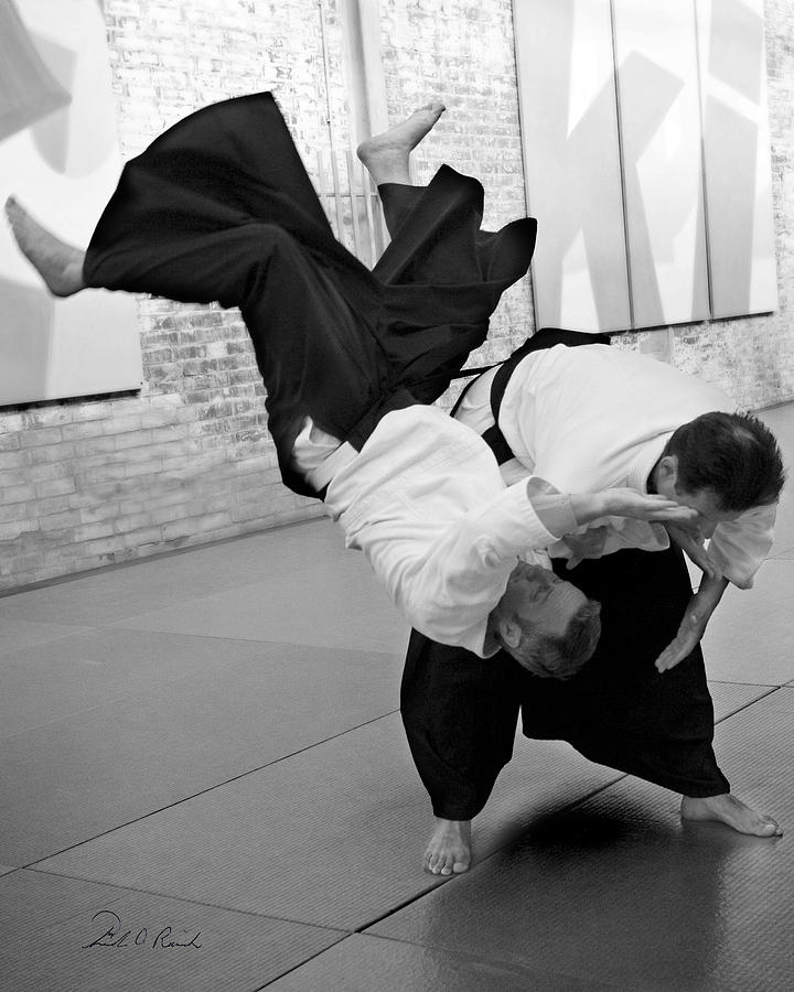 Aikido  Photograph by Frederic A Reinecke