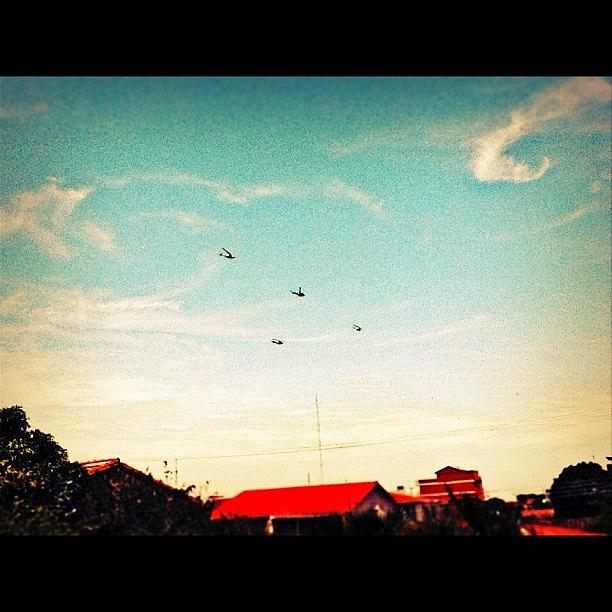 Air Force Anniversary ... Helicopters Photograph by Natalia Contreras
