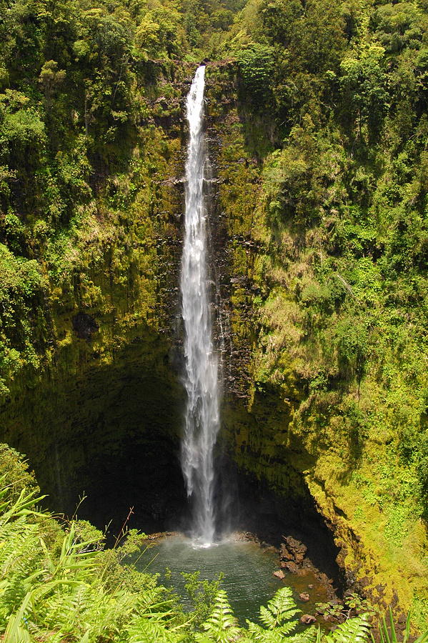 Akaka Falls In Hawaii Photograph by Kathryn Ory - Pixels