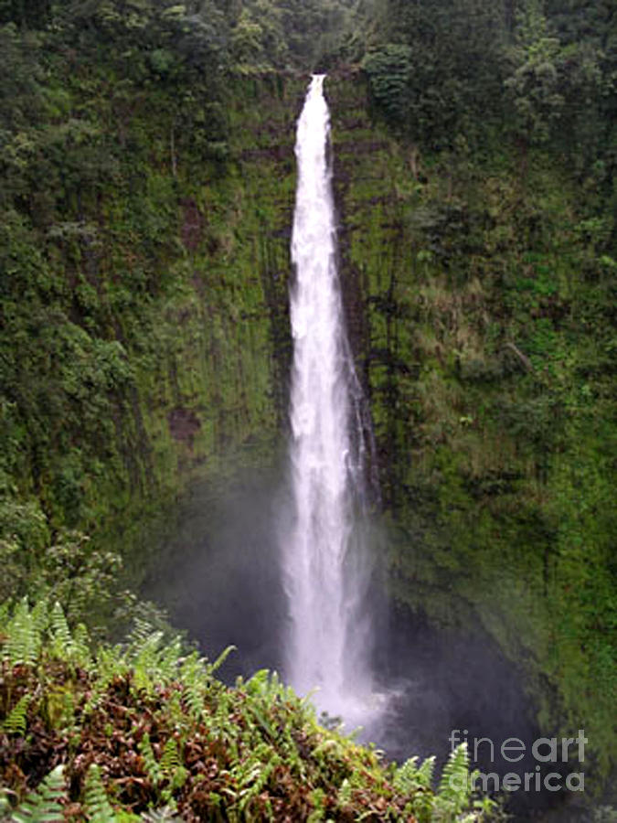 Waterfall Photograph - Akaka Falls Waterfall by Karen Nicholson