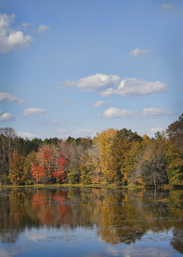 Fall Photograph - Alabama Fall Landscape by Kathy Clark
