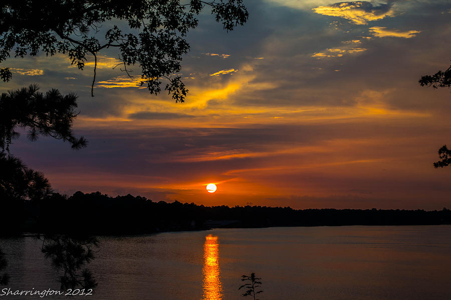 Alabama Sunset Photograph by Shannon Harrington