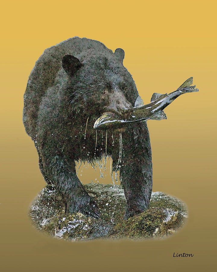 Alaska Black Bear 4 Photograph by Larry Linton