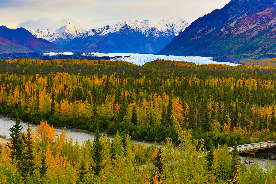 Alaska Matanuska Glacier in Fall Photograph by Sam Amato