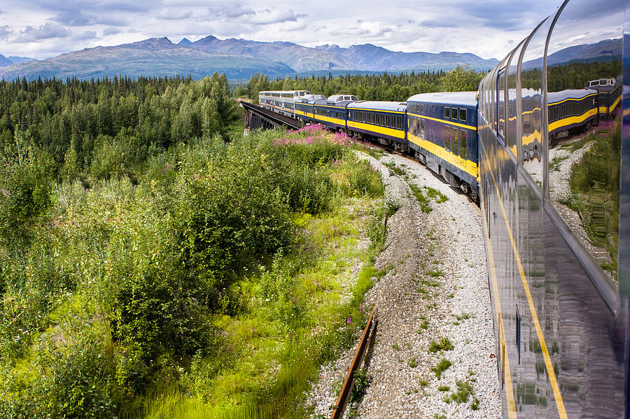 Denali National Park Photograph - Alaska Railroad Three by Josh Whalen