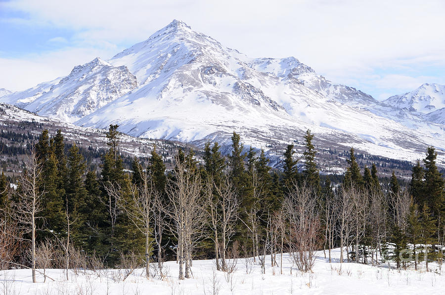 Alaska Range Peak Photograph by Gary Whitton