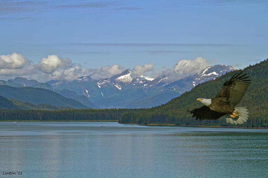 Alaska Scene Photograph by Larry Linton