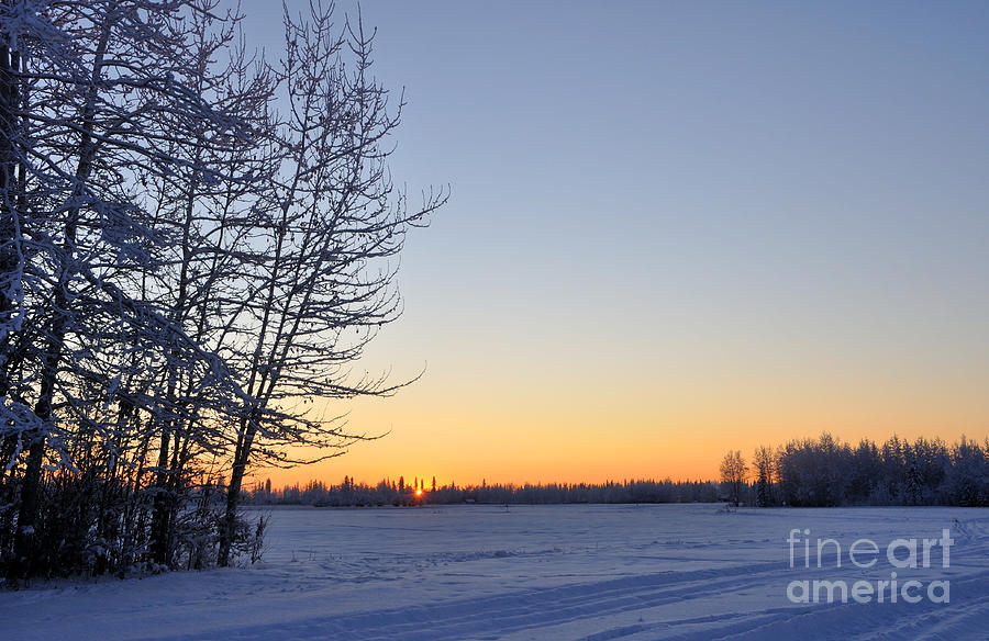 Alaska Winter Sunset  Photograph by Gary Whitton