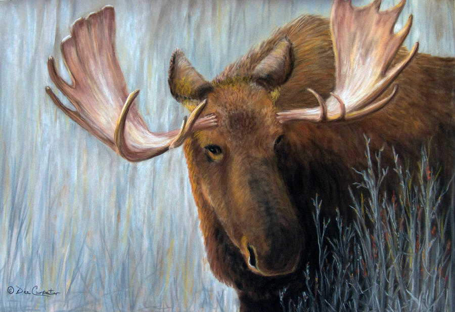 Alaskan Bull Moose Painting by Dee Carpenter