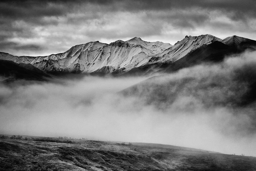 Denali National Park Photograph - Alaskan Morning by Rick Berk