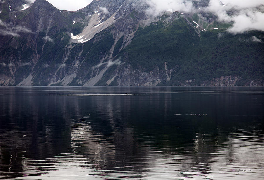 Alaskan Mountain Scene Whales Photograph by Gary Gunderson