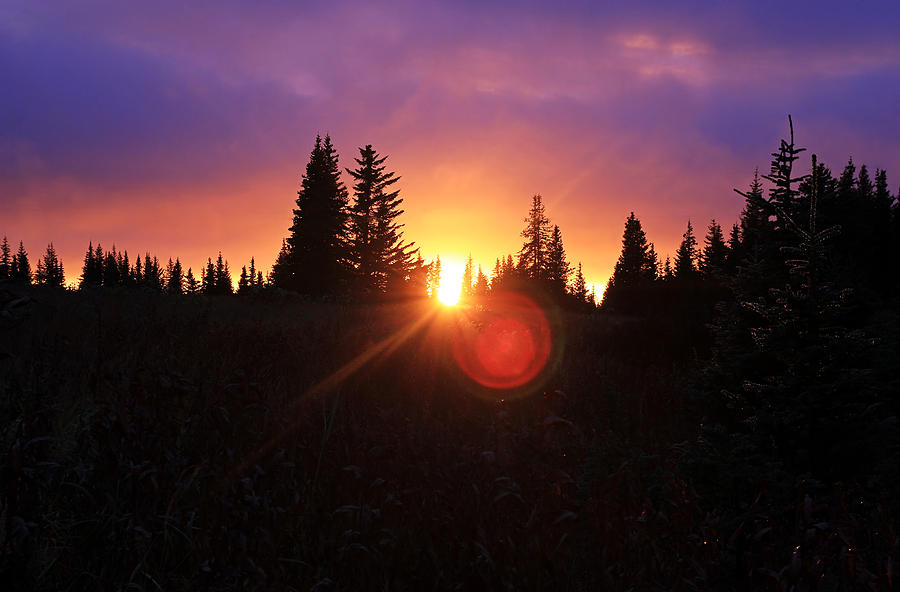 Alaskan Sunset Photograph by Michele Cornelius