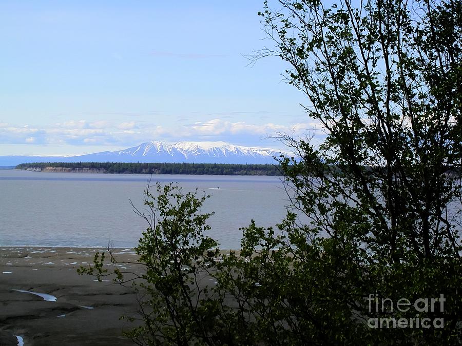 Alaskas Landscape Photograph by Tap On Photo