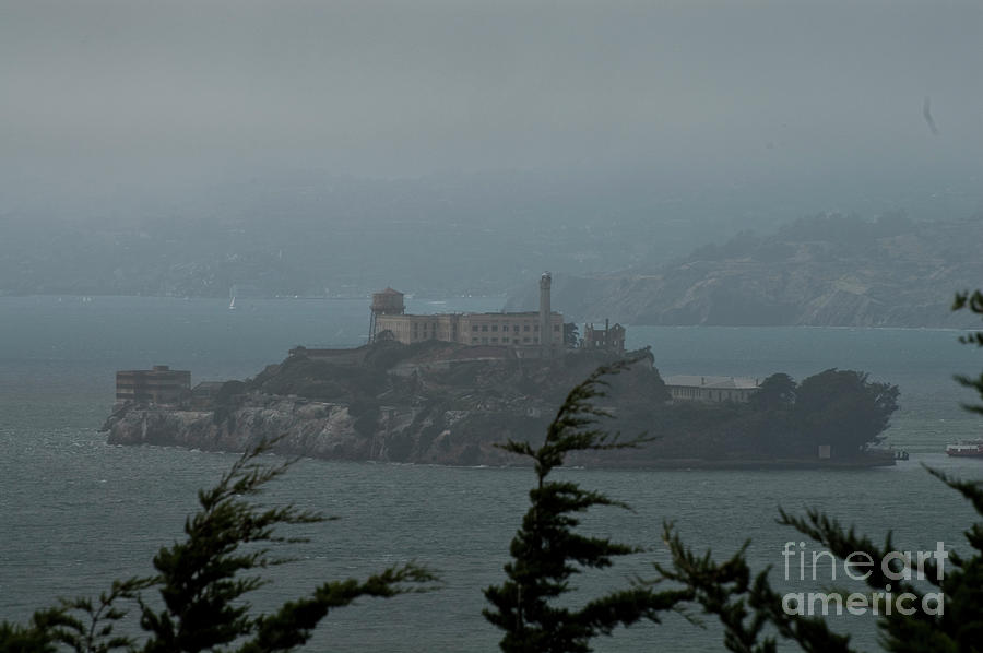 San Francisco Photograph - Alcatraz and Fog by Tim Mulina