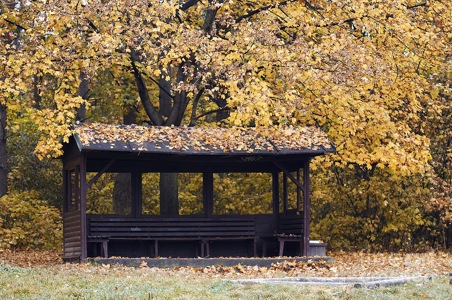 Alcove In The Autumn Park Photograph by Michal Boubin