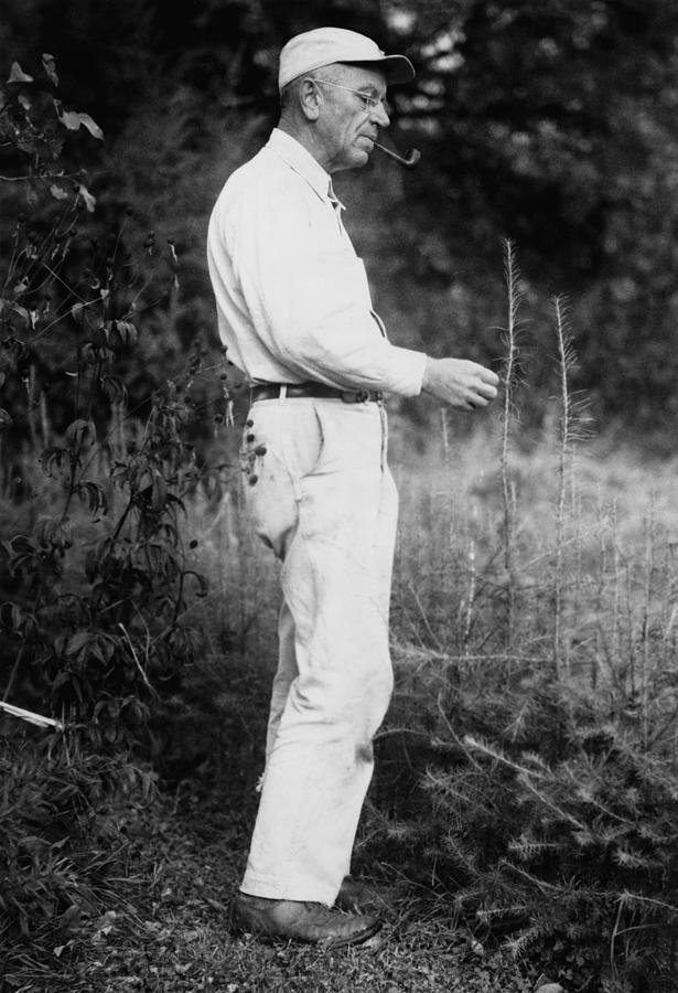 Portrait Photograph - Aldo Leopold, 1886-1948, American by Everett