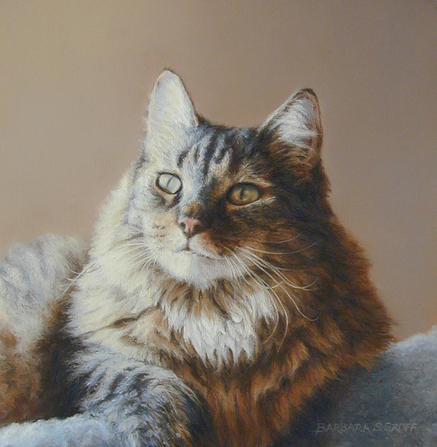 Alexi Maine Coon Painting by Barbara Groff