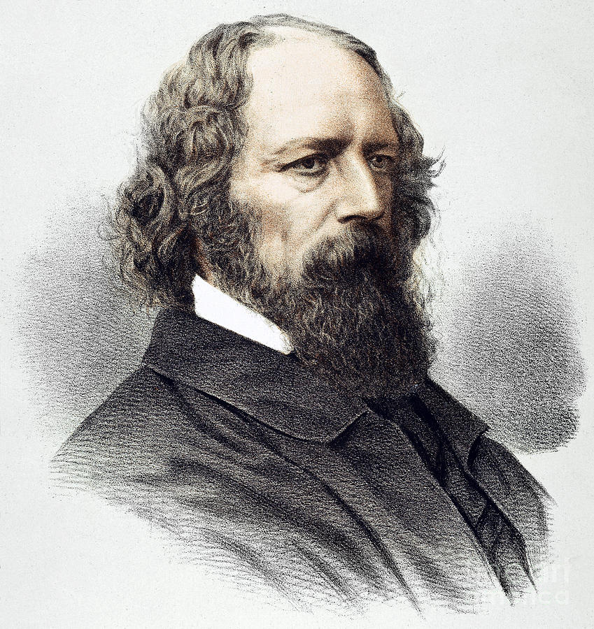 Portrait Photograph - Alfred Tennyson by Granger