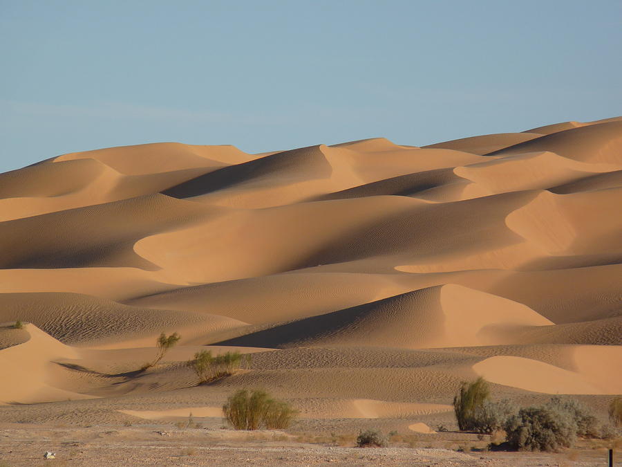 Algerian Desert Photograph by In Salah