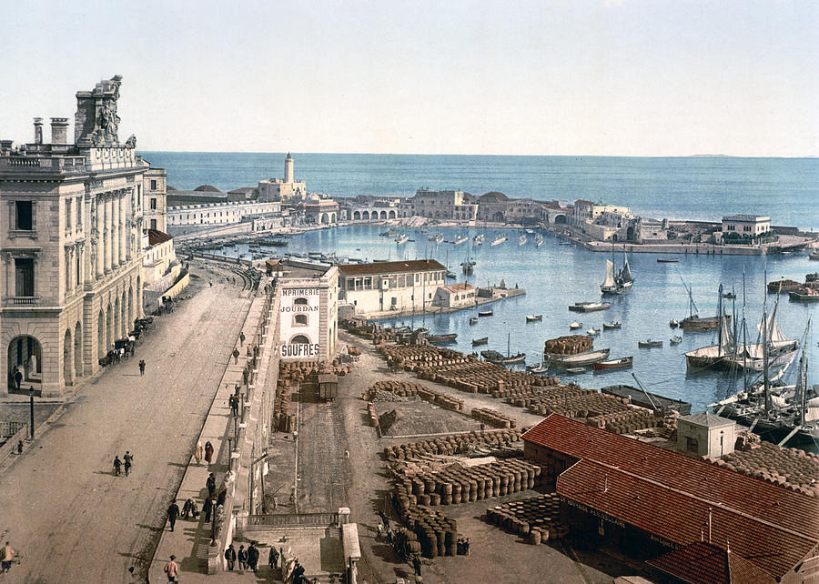 Algiers - Algeria - Harbor and Admiralty Photograph by International  Images