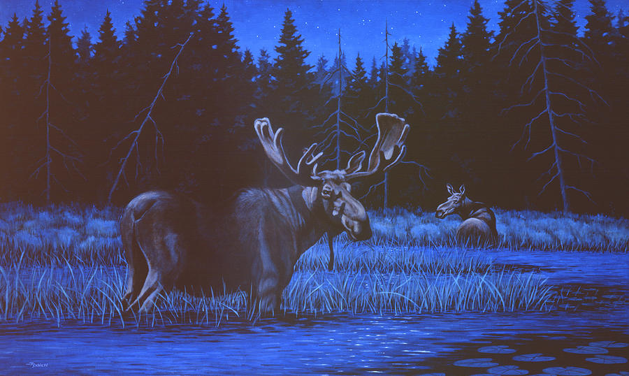 Moose Painting - Algonquin Moonlight by Richard De Wolfe