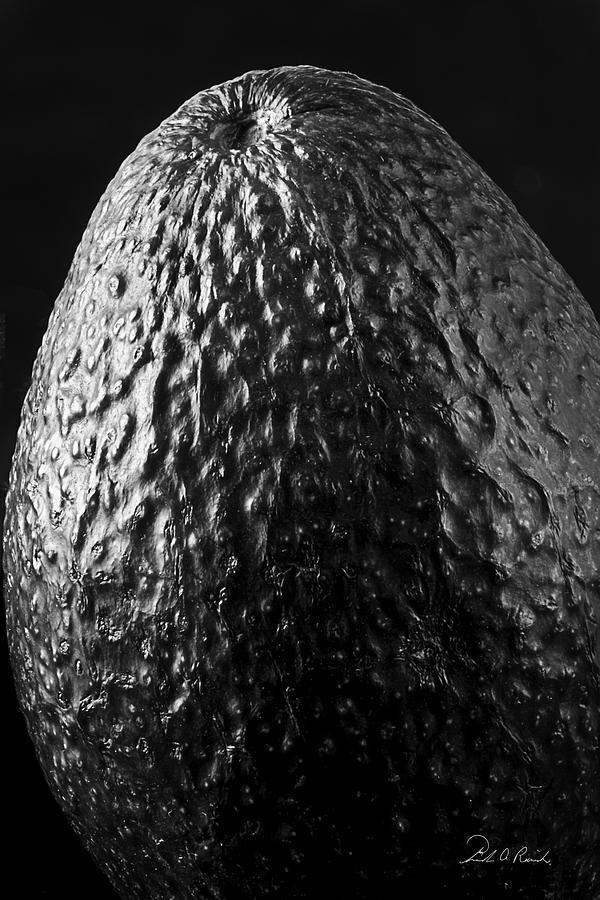 Alien Egg Photograph by Frederic A Reinecke