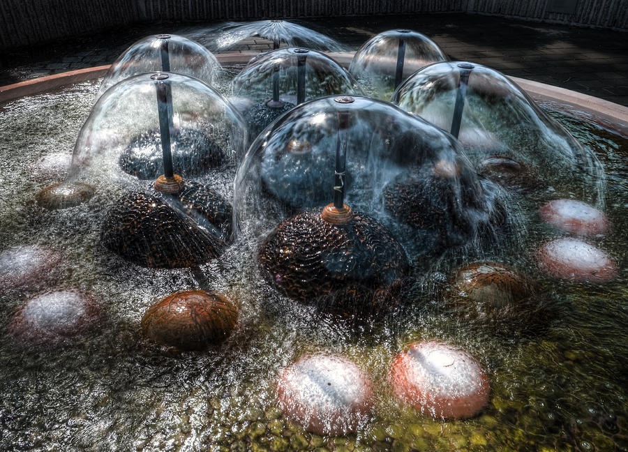 Fountain Photograph - Alien Lifeform by Wayne Sherriff