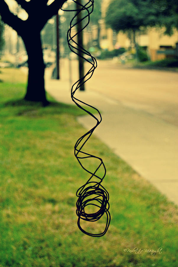 All Tangled Up In You Photograph by Paulette B Wright