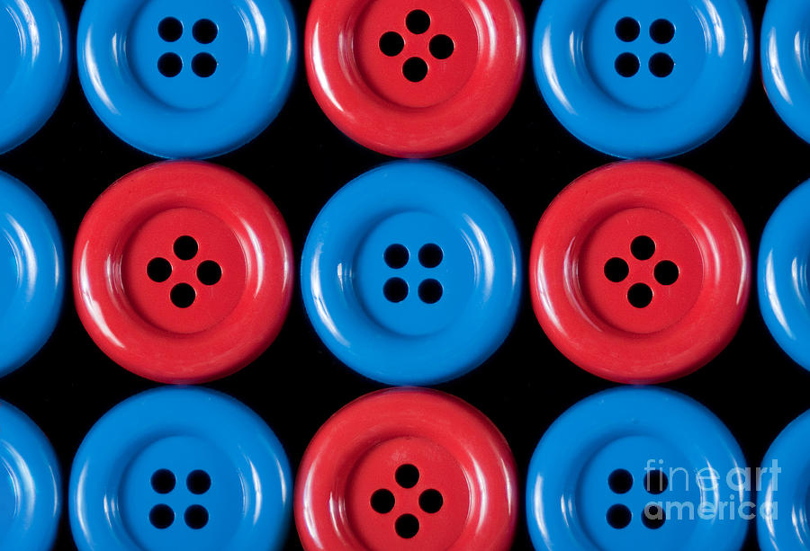 Primary Colors Photograph - All Together Now by Dan Holm