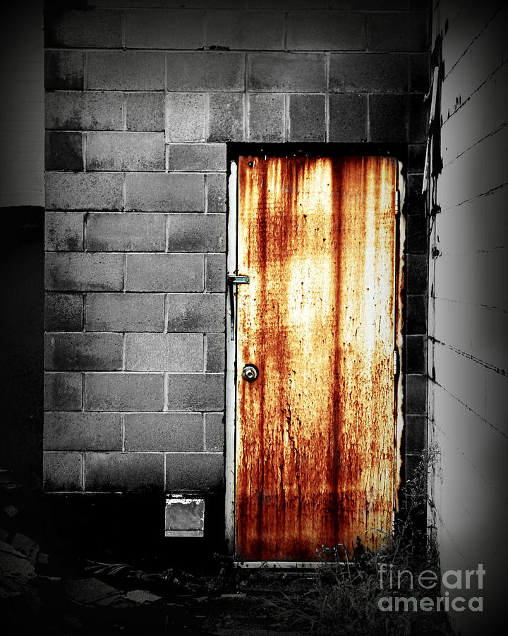 Alley Door 2 Photograph by Perry Webster