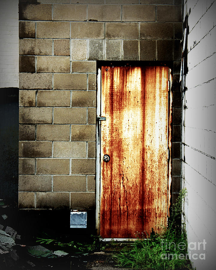 Alley Door Photograph by Perry Webster