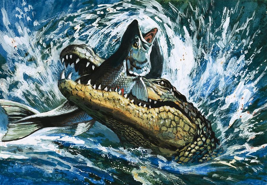 Alligator Eating Fish Painting by English School
