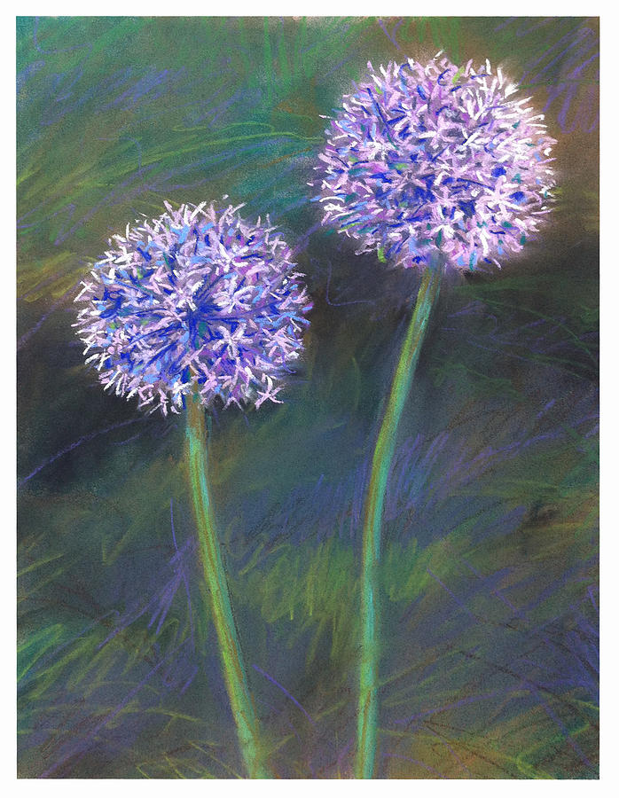 Flower Painting - Allium X2 by Thomas Dreesen