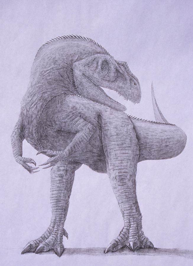 Allosaurus Drawing by David Pry Fine Art America